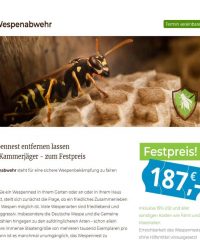 Wespenabwehr.de – Wespennest fachgerecht entfernen lassen